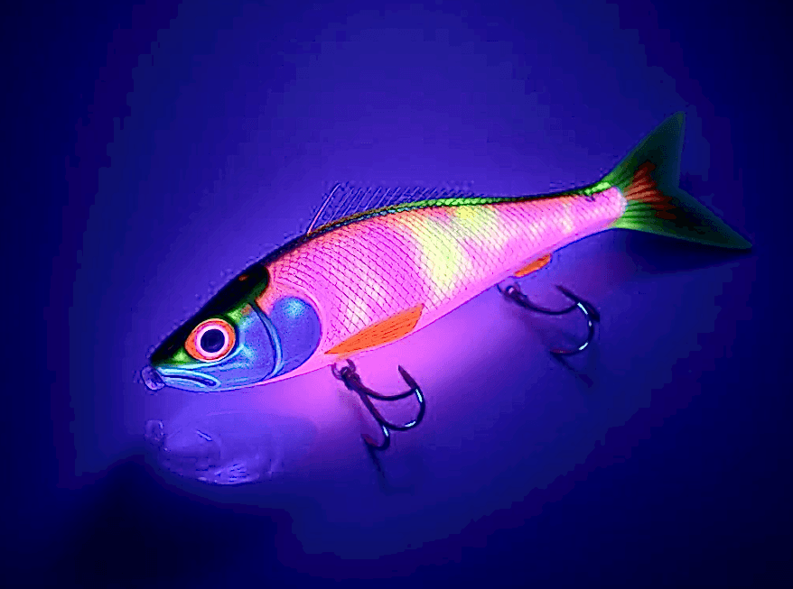 Balıkçılıkta UV (UltraViolet) renklerin Önemi