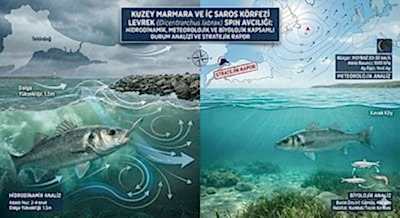 Kuzey Marmara ve İç Saros Körfezi Levrek (Dicentrarchus labrax) Spin Avcılığı