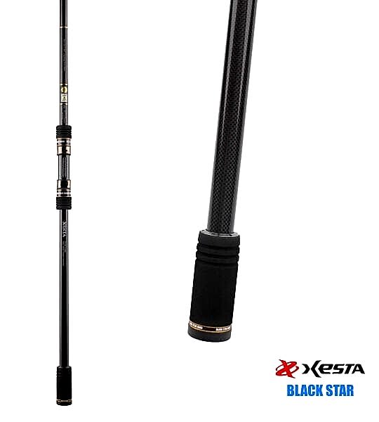 XESTA BLACKSTAR HARD S90HX KAMIŞ 2.74M 10-50G
