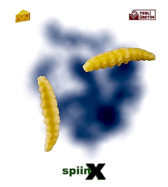 SPIINX LARVA 35MM 14P PEYNİR CHEESE 05