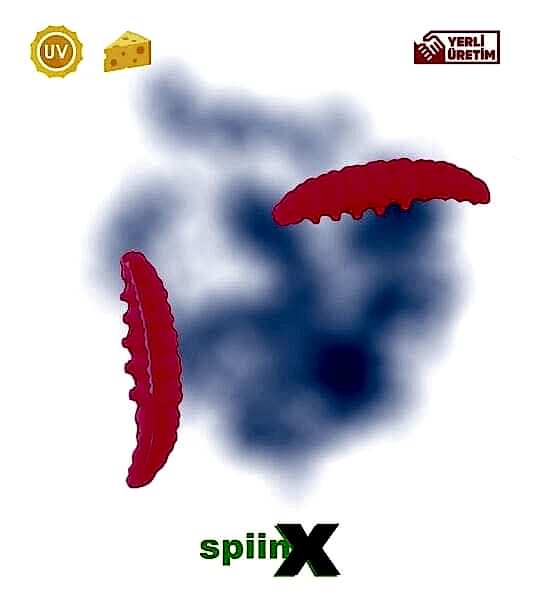 SPIINX LARVA 35MM 14P PEYNİR UV HOT PINK 56