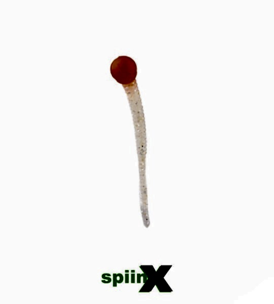 SPIINX MICE TAIL SİLİKON 8CM 12P GLOW ORANGE GUM