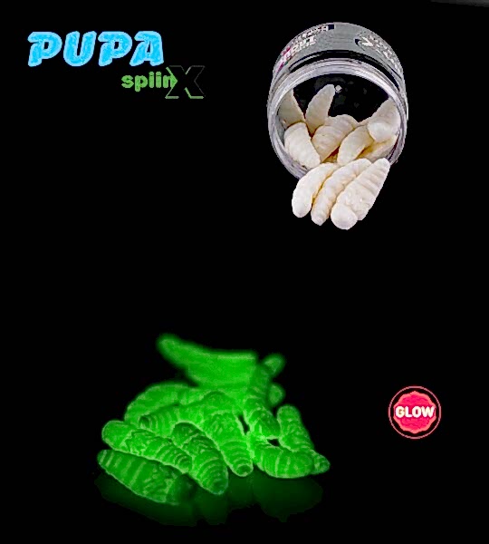 SPIINX PUPA 35MM 12P PEYNİR ALL GLOW 61