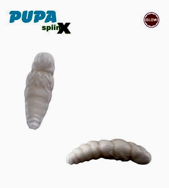 SPIINX PUPA 35MM 12P PEYNİR ALL GLOW 61