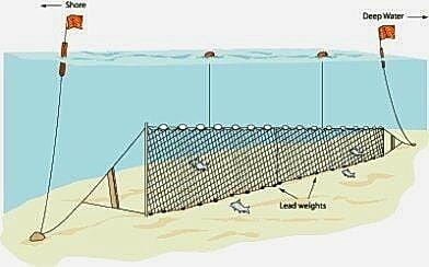 Barbun Uzatma Ağı 100 M Fanyalı 0,18 mm Misina