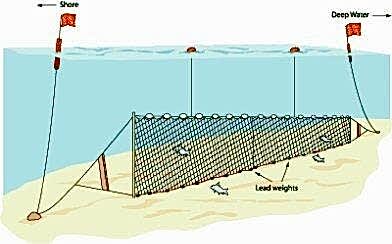 Barbun Uzatma Ağı 100 M Sade 2 Numara İp