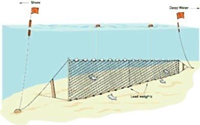 Yarı Profesyonel Sazan Ağı 100 Metre 2 Numara İp Kalınlıklı