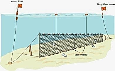 Yarı Profesyonel Turna Ağı 100 Metre 0,20 mm Misina
