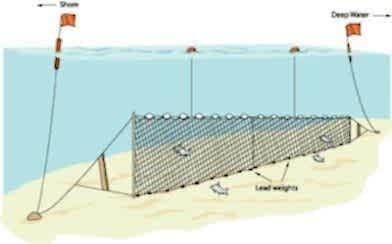 Yarı Profesyonel Turna Ağı 50 Metre 0,20 mm Misina