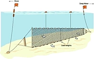 Fanyalı Profesyonel Sazan Ağı 50 Metre 3 Numara İp Kalınlıklı