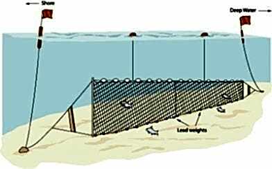 Fanyalı Profesyonel Turna Ağı 100 Metre 2 Numara İp Kalınlıklı