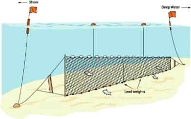 Fanyalı Profesyonel Turna Ağı 50 Metre 3 Numara İp Kalınlıklı