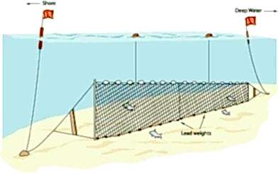 Fanyalı Profesyonel Sazan Ağı 50 Metre 0,23 mm Misina
