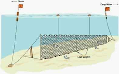Fanyalı Profesyonel Turna Ağı 100 Metre 0,20 mm Misina