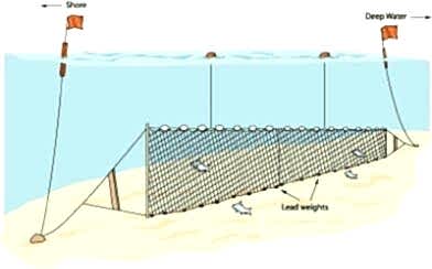 Fanyalı Profesyonel Turna Ağı 100 Metre 0,23 mm Misina