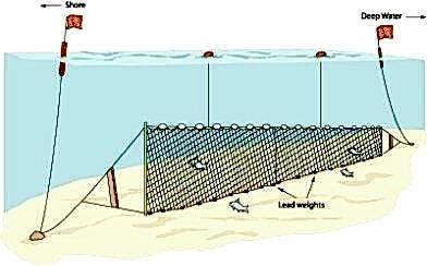 Fanyalı Profesyonel Turna Ağı 50 Metre 0,20 mm Misina