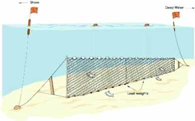 Fanyalı Profesyonel Turna Ağı 50 Metre 0,23 mm Misina