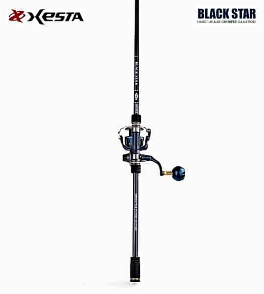 XESTA BLACKSTAR HARD S84MHX KAMIŞ 2.54M 7-35G