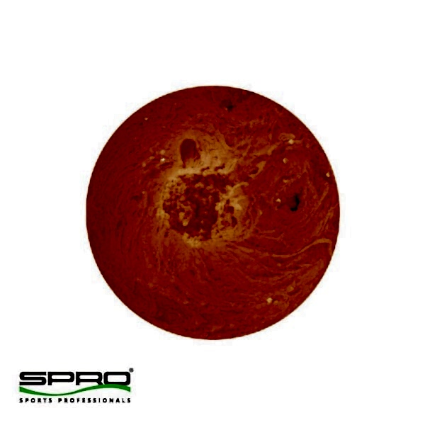 SPRO TM PRO PASTE GARLIC FLUO Orange