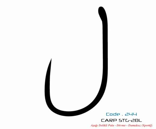 2447 CARP STG-2 DAMAKSIZ  #8 TEFLON 9P