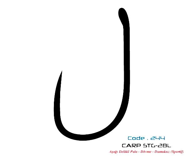 2447 CARP STG-2 DAMAKSIZ  #6 TEFLON 8P