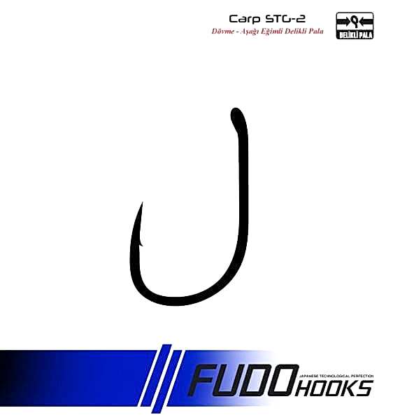 2447 CARP STG-2 DAMAKSIZ  #6 TEFLON 8P