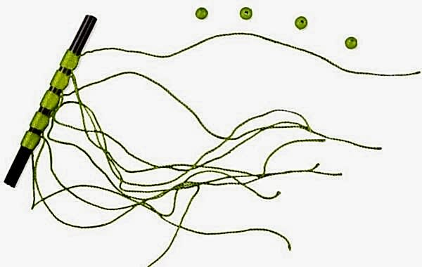 Lineaeffe Stoper Tope